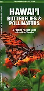 Hawai'i Butterflies and Pollinators