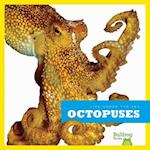 Octopuses