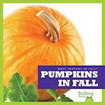 Pumpkins in Fall