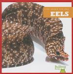 Eels