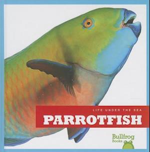 Parrotfish