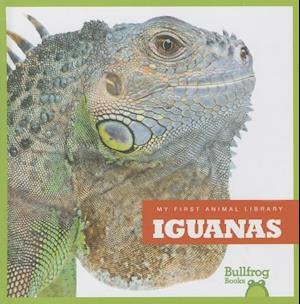 Iguanas