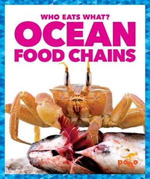 Ocean Food Chains