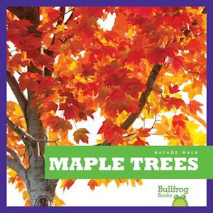 Maple Trees