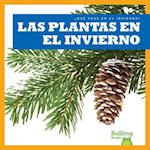 Las Plantas En El Invierno / Plants in Winter