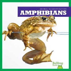 Amphibians