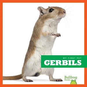 Gerbils