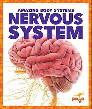 Nervous System