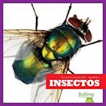 Insectos / Insects