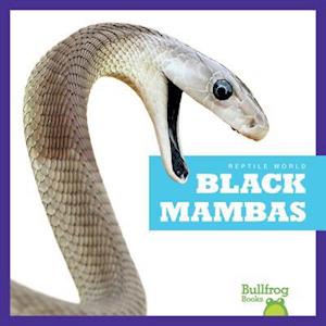 Black Mambas