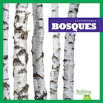 Bosques (Forests)