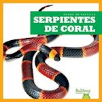 Serpientes de Coral (Coral Snakes)