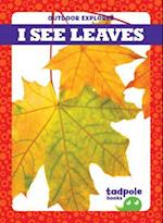 I See Leaves