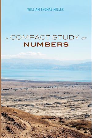 A Compact Study of Numbers