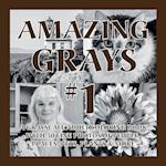 Amazing Grays #1