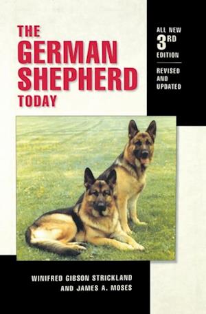 German Shepherd Today