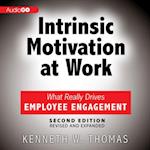 Intrinsic Motivation at Work, 2nd Edition