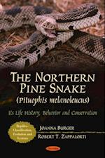 Northern Pine Snake (Pituophis Melanoleucus)