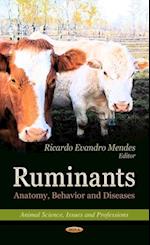 Ruminants