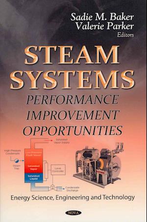 Steam Systems