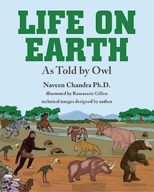 Life on Earth as Told by Owl