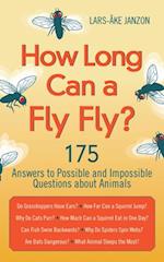 How Long Can a Fly Fly?