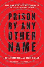 Prison by Any Other Name : The Harmful Consequences of Popular Reforms 