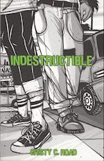 Indestructible