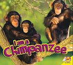 I Am a Chimpanzee