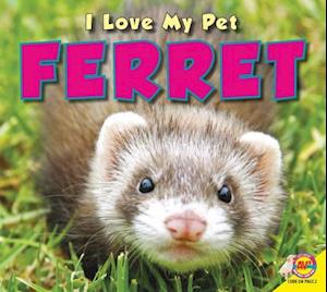 Ferret