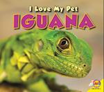 I Love My Pet Iguana