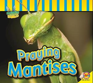 Praying Mantises