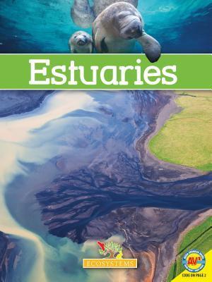 Estuaries