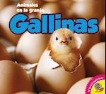 Gallinas = Chickens