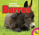 Burros = Donkeys