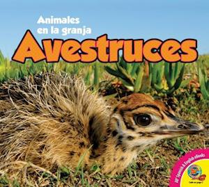 Avestruces = Ostriches