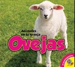 Ovejas = Sheep