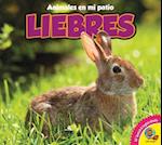 Liebres = Rabbits