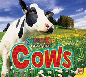 Cows