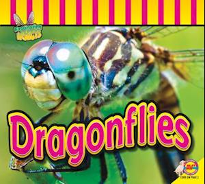 Dragonflies