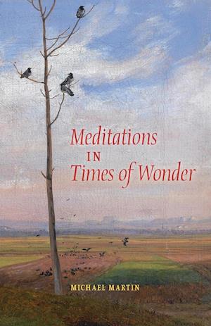 Meditations in Times of Wonder