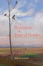 Meditations in Times of Wonder