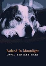 Roland in Moonlight 