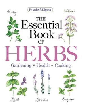 Reader's Digest the Essential Guide to Herbs