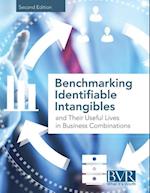 Benchmarking Identifiable Intangibles and Their Useful Lives in Business Combinations, Second Edition