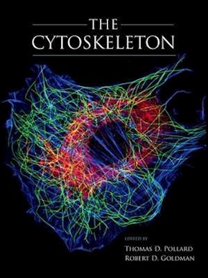 The Cytoskeleton