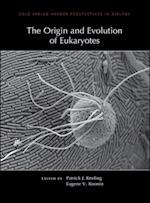 The Origin and Evolution of Eukaryotes