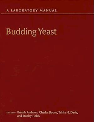 Budding Yeast