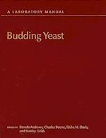 Budding Yeast