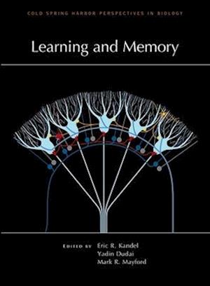 Learning and Memory